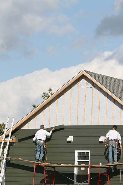 Best Historical Building Siding Restoration  in Sumner, IL