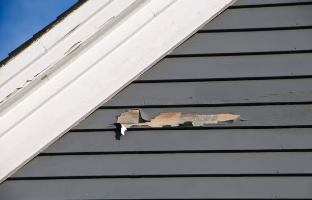 Best Vinyl Siding Installation  in Sumner, IL