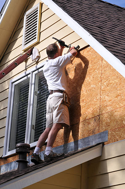 Affordable Siding Repair and Maintenance Services in Sumner, IL